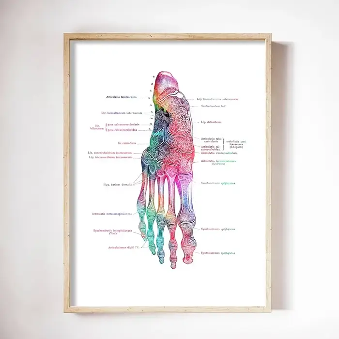 Peinture sur toile imprimée d'anatomie des os du pied, image murale médicale, affiche de podologie,