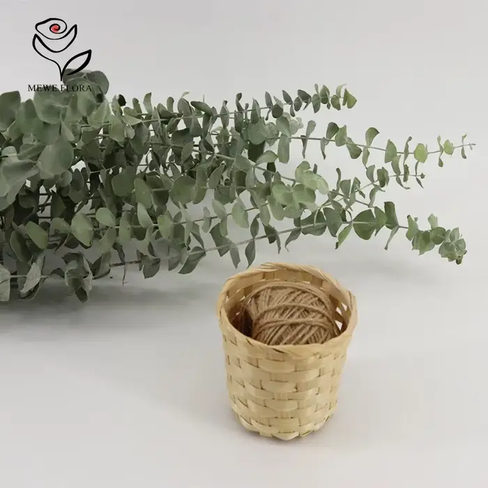 Feuilles d'eucalyptus conservées