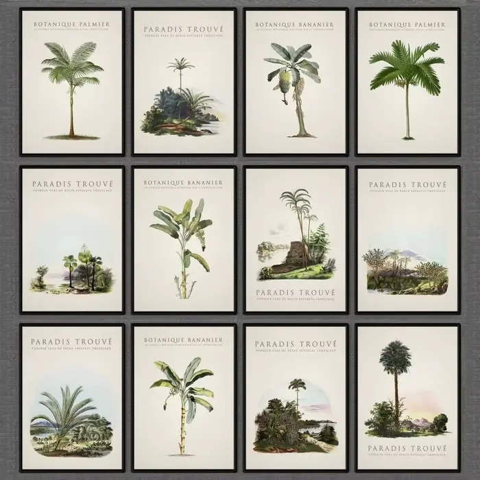 Affiche de palmiers et bananiers tropicaux
