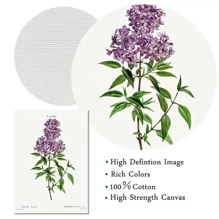 Vintage Botanical Studies Canvas Painting