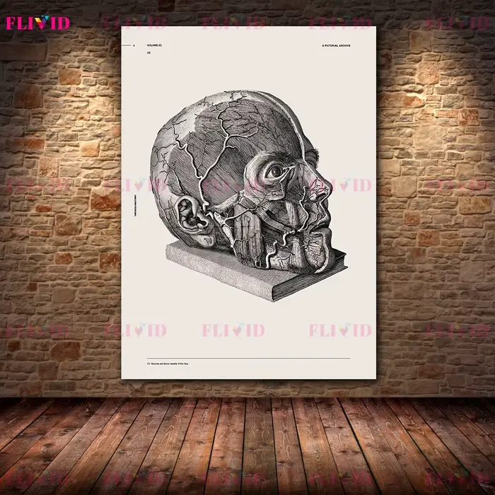 Affiches d'art sur l'anatomie antique, impressions murales du cerveau, du crâne et du système nerveu