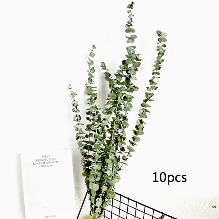 Feuilles d'eucalyptus conservées, plantes vertes séchées, décoration de la maison, fleurs suspendues