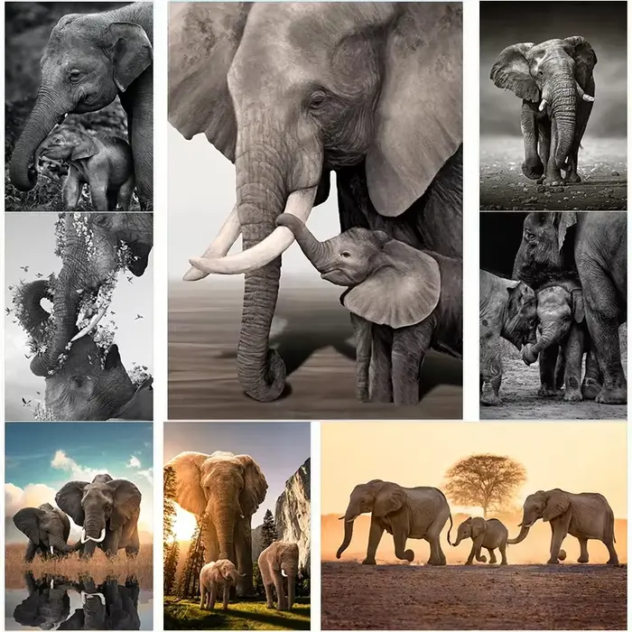 Affiches de famille d'éléphant quelque part