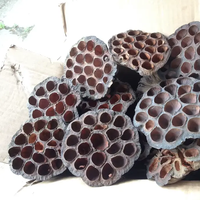 Fleurs d'Annie Naturelles vaccées pour Décoration de Bureau