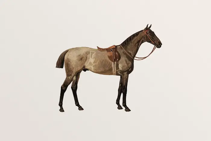 Peinture sur toile minimaliste de cheval équestre vintage, art mural moderne pour ferme, décoration 