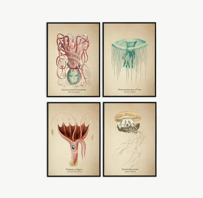 Images Vintage poissons tropicaux méduses coquilles vie Marine Art abstrait peintures sur toile