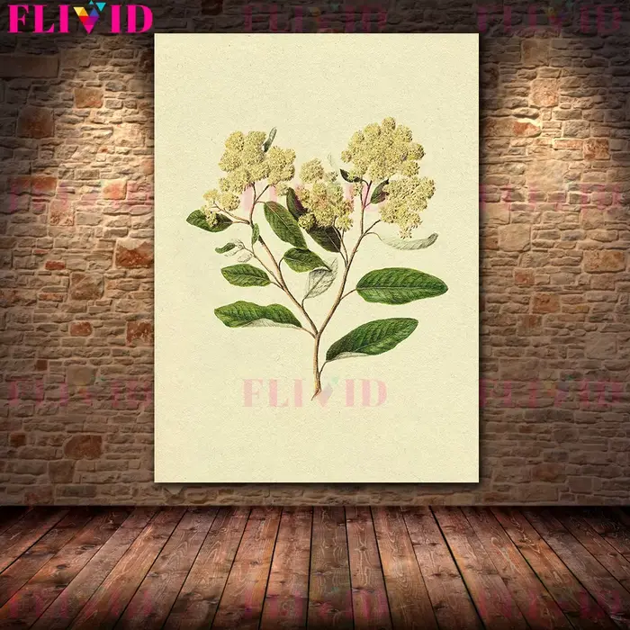Arbre de branche d'olivier et branche de fleur blanche