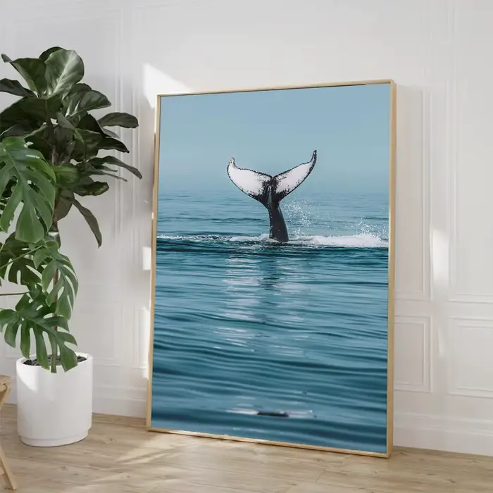 Affiches d'art de créatures marines
