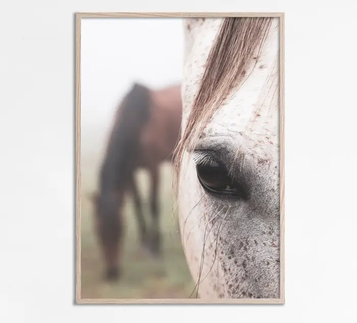Art moderne Animal prairie cheval noir et blanc photo maison chambre décoration toile peinture Cuadros