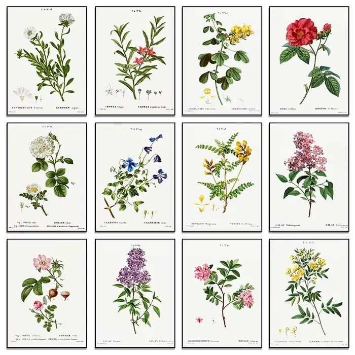 Vintage Botanical Studies Canvas Painting