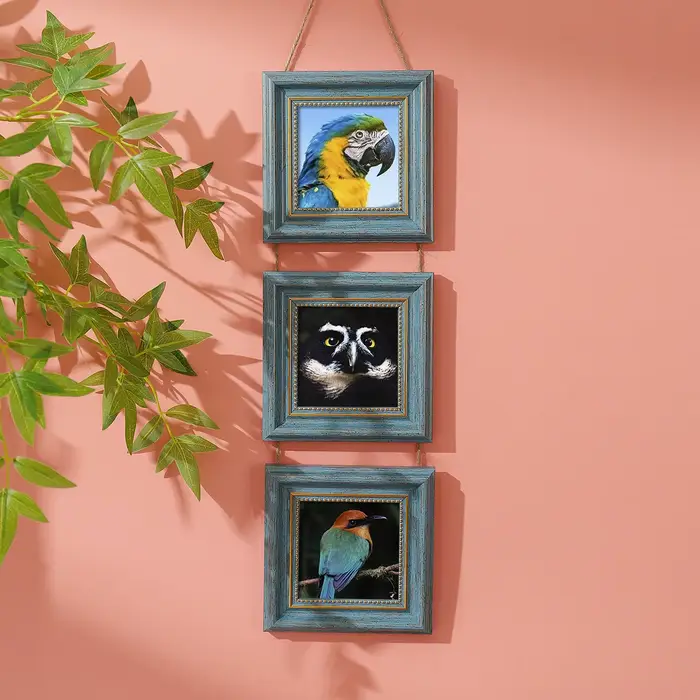 Trois cadres photo vintage en plastique