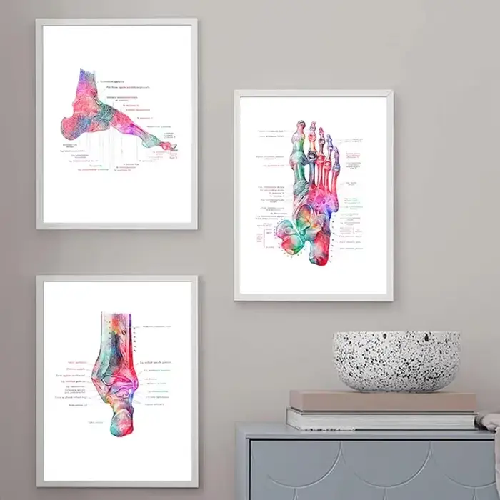 Peinture sur toile imprimée d'anatomie des os du pied