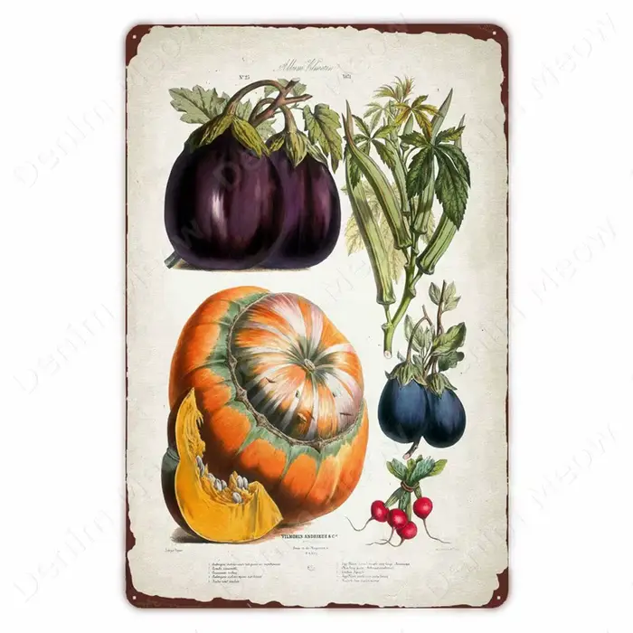 Plante végétale rétro affiche Fruits Vintage en métal
