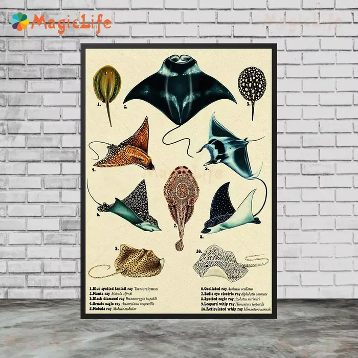 Affiches murales vintage de poissons de mer
